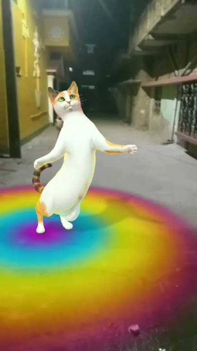 Apply perfume on chunni 😺😻😻😄😲😲 #dj #song #hindiganabhojpuriiganakaiselikhe #djremix