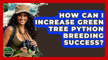 How Can I Increase Green Tree Python Breeding Success? - Reptilian Wonders