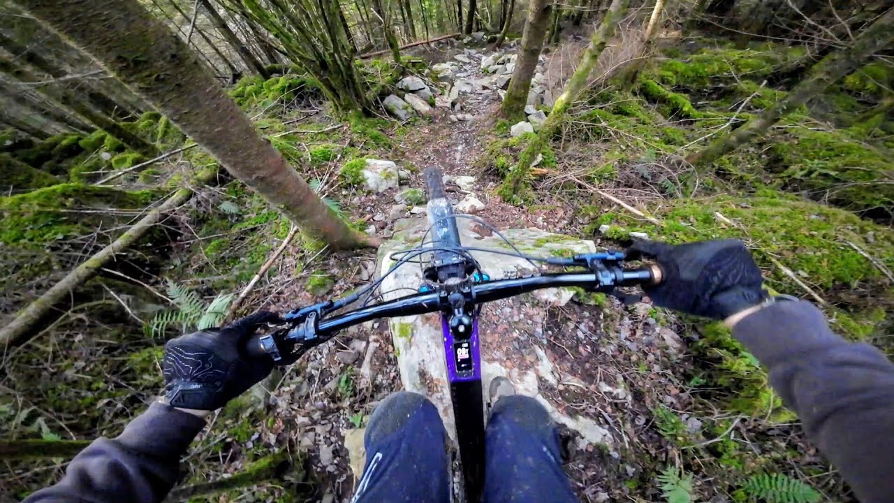 The return to Coed y Brenin! 