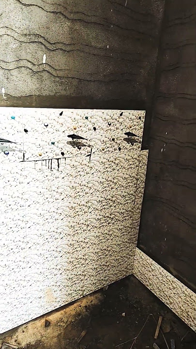 How To install Bathroom Floor and wall Tiles Accurately lTiile#bathroomdecor 👍💪