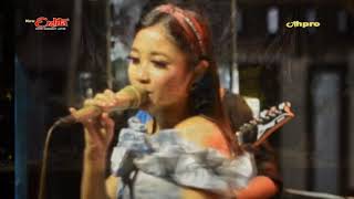 Konco Turu,  Nina Dellana #NewErlita Pungging Mojokerto #AHPRO