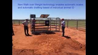 Mowanjum Irrigation Pilot