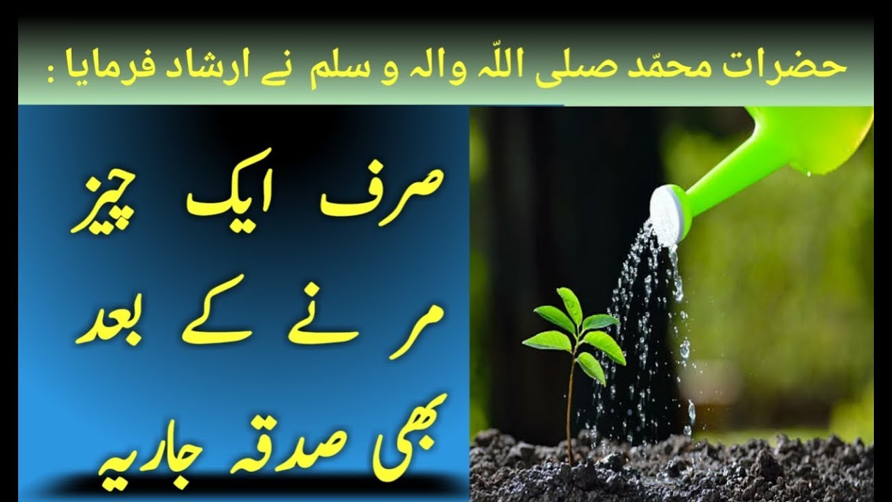 The Value of Trees in Islam YouTube
