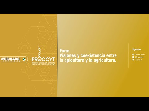 Vídeo: El Número De Personas Afectadas Por Los Rayos Ha Aumentado Drásticamente, - Vista Alternativa