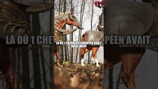 Le secret absurde des Mongols des poneys surp
