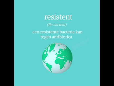 Video: Antibioticaresistente Bacteriële Infecties Bij Honden