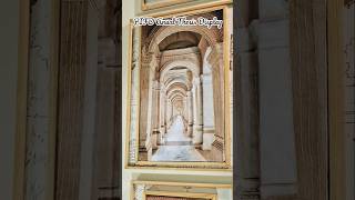 PIFD Thesis Display Sadiq Garh Palace- A fading Legacy #handmade  #ytshorts #thesis #palace #display
