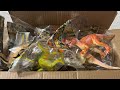 恐竜フィギュアを箱買いしてみた！　恐竜ワールドジュニア　Dinosaure figure huge haul