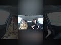 АЛЬФОНСО КАК ВСЕГДА