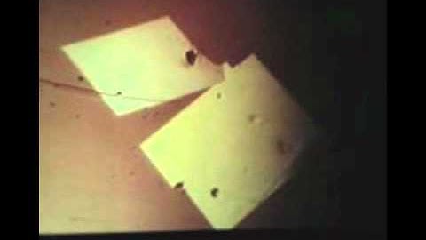 Eutectic solidification.   Formation of envelope of paradibromobenzene crystal around pyrene crystal