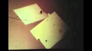 Famous Eutectic solidification.   Formation of envelope of paradibromobenzene crystal around pyrene crystal Profile