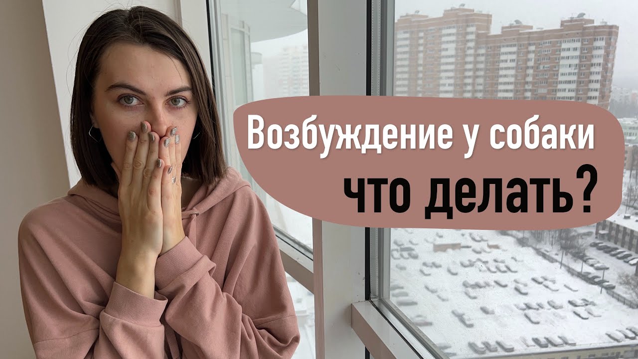 как возбудить собаку