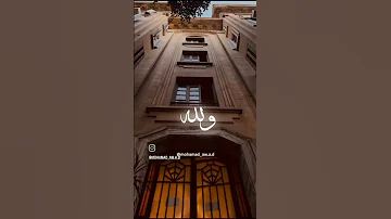 بعتلا الفيديو لأختك وقلا بتعرفي يا اختي اجمل حالات واتساب منوعة لايكاشتراك 