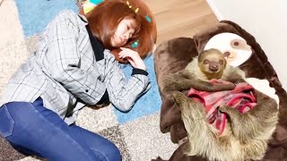 ピース君ありがとう