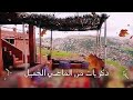 ذكريات من الماضي الجميل Memories Of The Beautiful Past 