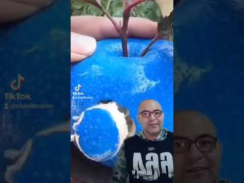 Video: Manzanos rojos de Roma: Cómo hacer crecer un manzano rojo de Roma