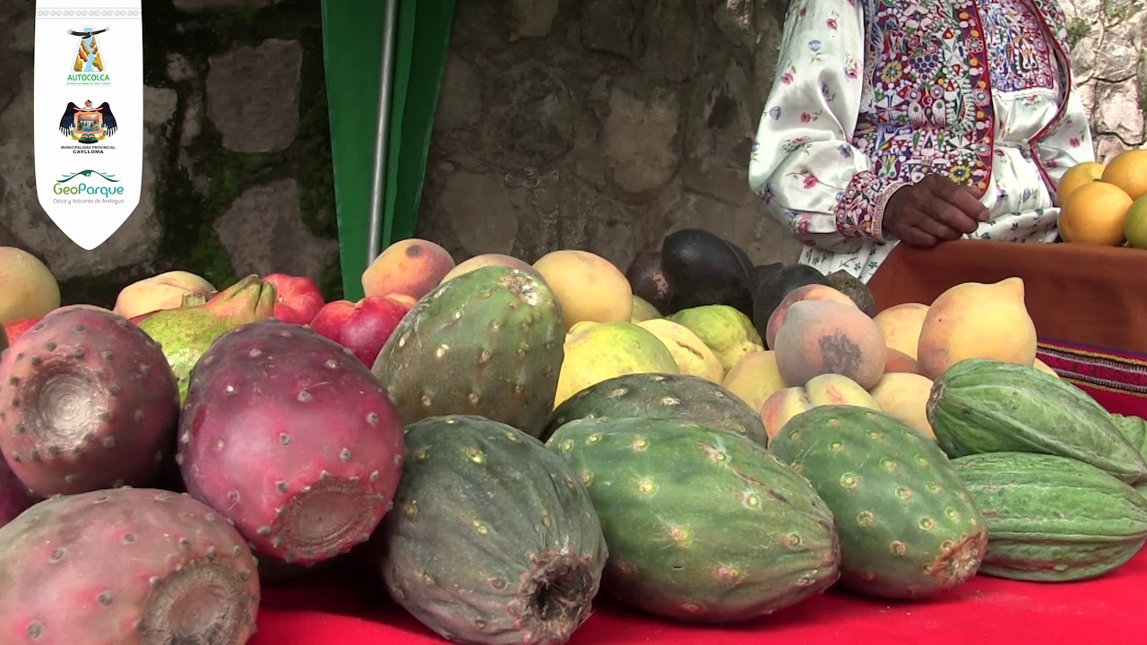 Tapay: Naturaleza y Encanto | AUTOCOLCA