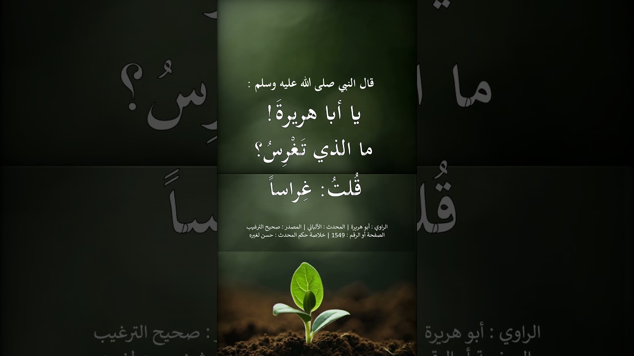 تغرس لك بكل واحدة شجرة في الجنة