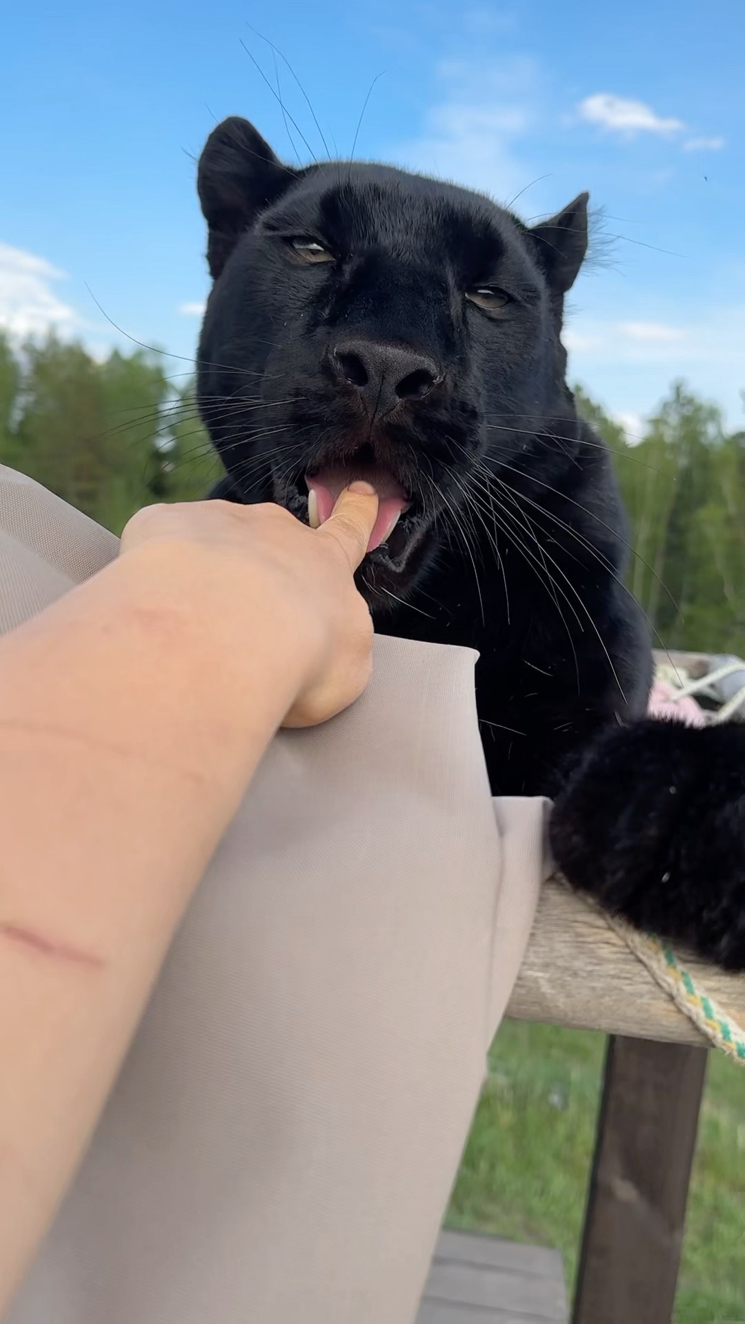 ⭐︎ nomnom⭐︎ Nom-nom 😁 - YouTube