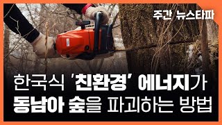 한국식 '친환경' 에너지가 동남아 삼림을 파괴하는 방법 〈주간 뉴스타파〉