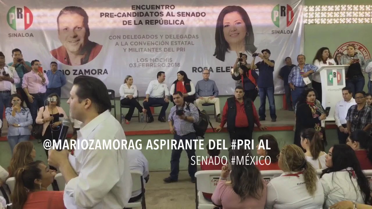 Lo que a la gente le molesta es ver un político RATA: #MarioZamora ...