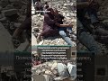 Израиль снес два палестинских дома на Западном берегу