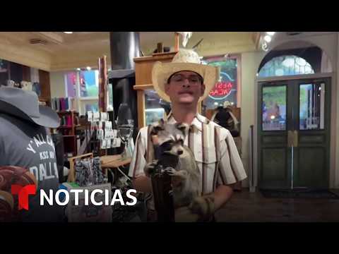 Latino revela qué compró Haaland en una tienda de Dallas durante el Mundial | Noticias Telemundo