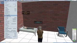 LU Mental Hospital SImulation Dem