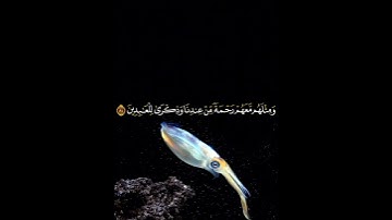 ءايات وأيوب إذ نادى ربه سورة الأنبياء الشيخ سعد الغامدي