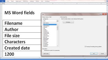 How to add dynamic fields in MS Word