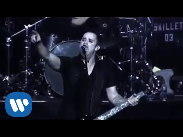 Skillet - Awake And Alive