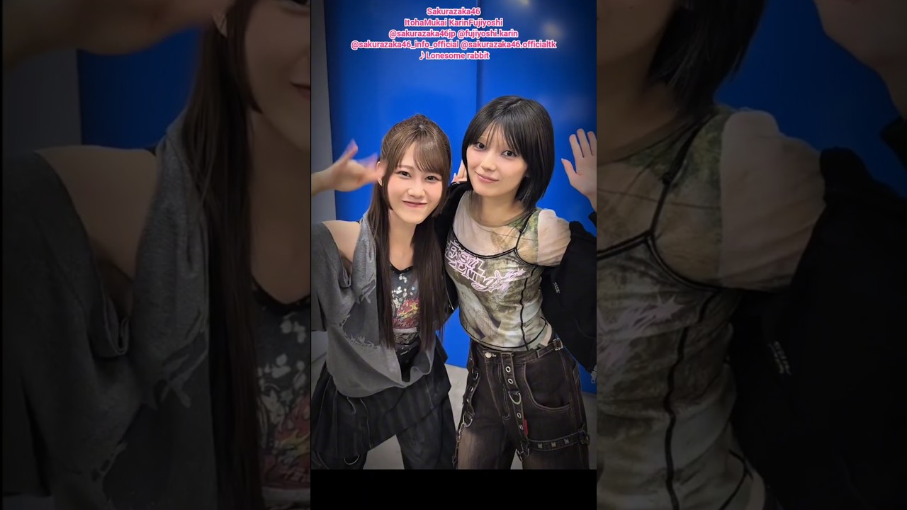向井純葉 藤吉夏鈴『Lonesome rabbit』ペアで踊ってみた♪ 櫻坂46 いと