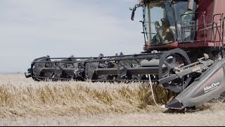 Bayer supports NZ farming couple to break wheat world record