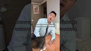 짜릿함에 중독된 집사 #shortvideo #shots #고양이 #시트콤