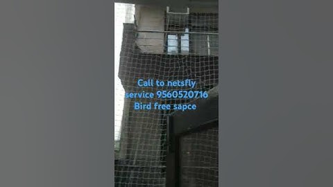 bird #net #service #home #call