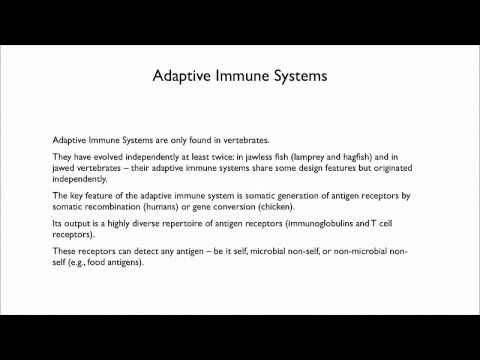 4.6 Defenses: Evolution of the Vertebrate Immune System