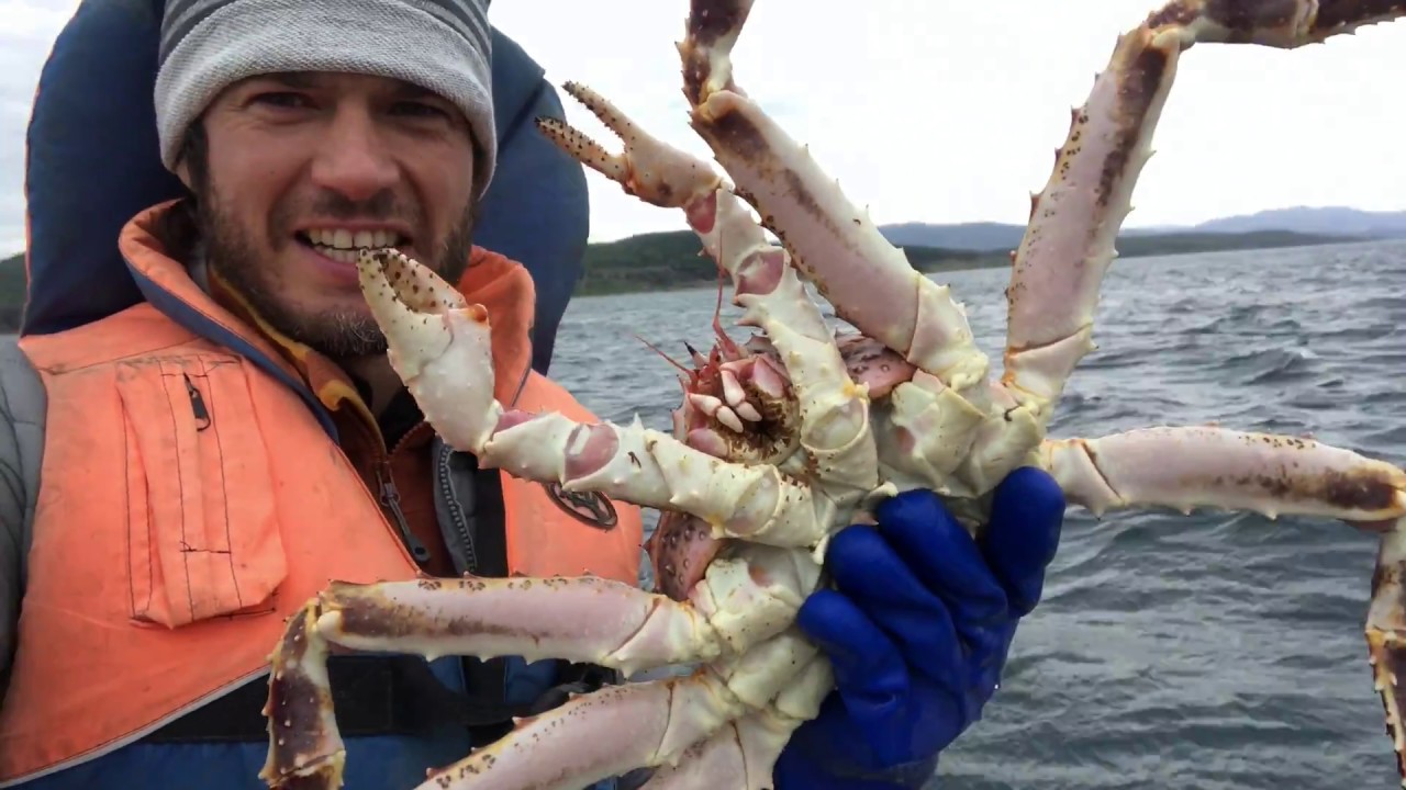 Промысел краба. Камчатский краб Охотское море. Камчатский краб Сахалин. Озеро Буссе Сахалин Крабы. Промысел Камчатского краба.