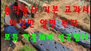 농막농사 기본 교과서  이것만 알면 모든작물 성공한다.100평농막농장
