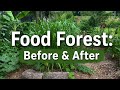 From Barren Backyard to Full Food Forest | In Just 3-Months 