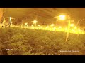 Officer Smelled Something Strange… It Led to a $6 Million Drug Factory
