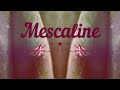 Mescaline  ➤ Digital HighTrance Music ➤ Revolutionary 4D Technology (Binaural Beats)