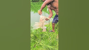 Amazing River Fishing! #shorts #trending #fishing #fish #villagelife #foryou