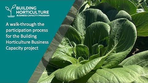 Walkthrough participating in the Building Horticulture Business Capacity Project