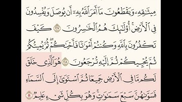 سورة البقرة بصوت القارئ إبراهيم الأخضر ( من الآية ١ إلى ٨٨)(١)