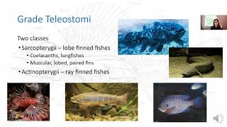 Fish Physiology Video