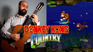 This Aquatic Ambience Guitar Rendition Has A Hidden Truth