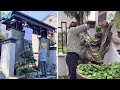 Renovating and designing a very beautiful garden | WU Vlog ▶ 54