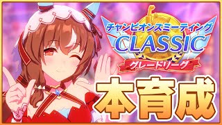 【ウマ娘】今日も海の家Lv2試しながらスティル切れ者厳選やっていくぞ！【チャンピオンズミーティングCLASICC 京都2000m】