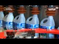 مصانع عملاقة شركة المراعي 