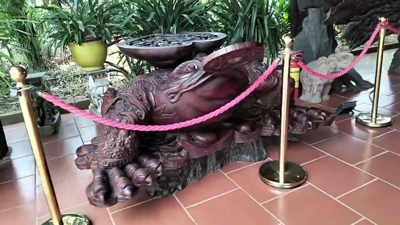 Du lịch Cồn Én, thanh bình Đồng Tháp